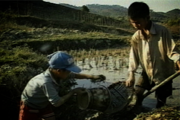 Image of boys working in the fields